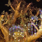 巧克力燕麦脆😋