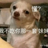 空档滑行