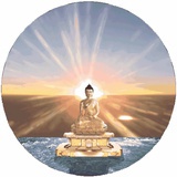 是你蝶