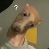 不理解