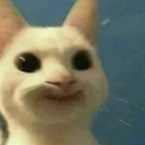 杨贤硕博连读