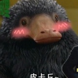 神奇动物在哪里