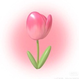 🌷