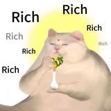 海诺今天出了吗