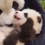 每日一OK