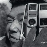 伊苏林迪竹节虫