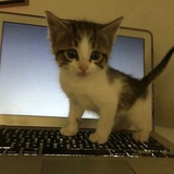 heee