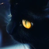 草莓芭菲免费送