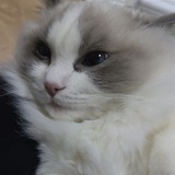 i美女