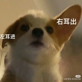 枣日退休
