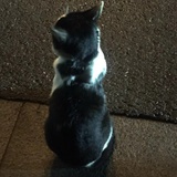 小周