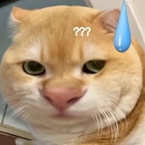 比巴卜（发疯版