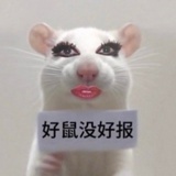 欧气驼一驼