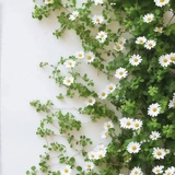 竹杖芒鞋轻胜马