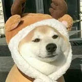 太学生仲麟