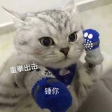 祖安大队长
