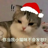 金子涵（鼠标版