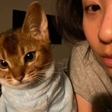 biubiu蚊-