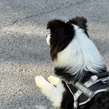 民政局的互口本