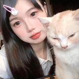 妙蛙袜子