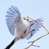 春和