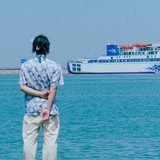 小杨学新闻