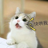 中途半端