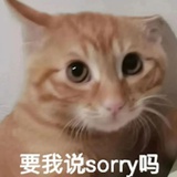 百变小音头帝