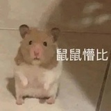 真是服了
