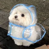 我向往自由