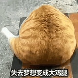 KM记在逃大鸡腿