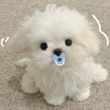 清醒一下