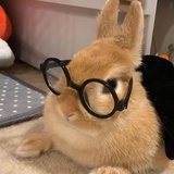 著名逸