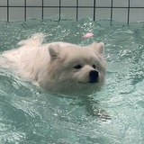 人类毁灭现场