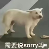 只言片羽