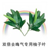万恶之源