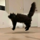 hyyyyyo_