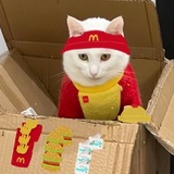普鲁西格