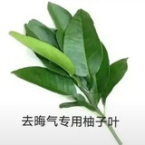 原味麻辣拌加醋