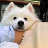 贝贝kk