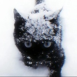 珊瑚岛上的死光