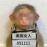 我是你同担呀