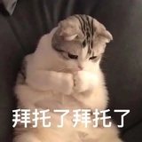 纤夫的爱
