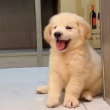 今天也要努力