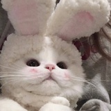 打烂她的嘴