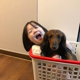 汪汪队立大功