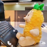 西柚味的百香果