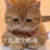 发生什么事了