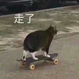 dddd
