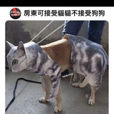 阎罗王空心版